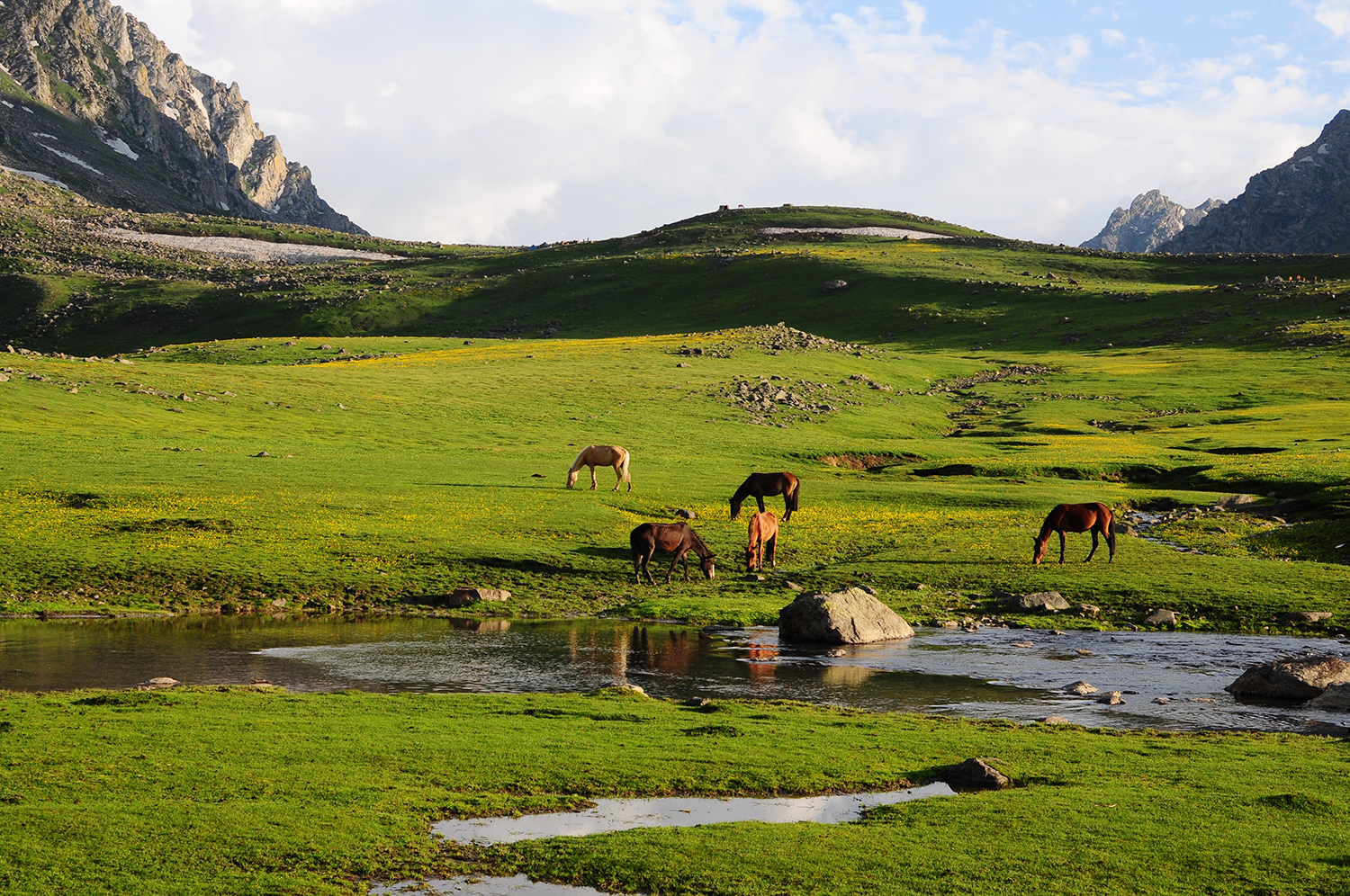 2016 Kashmir Seven Great Lakes Trekking