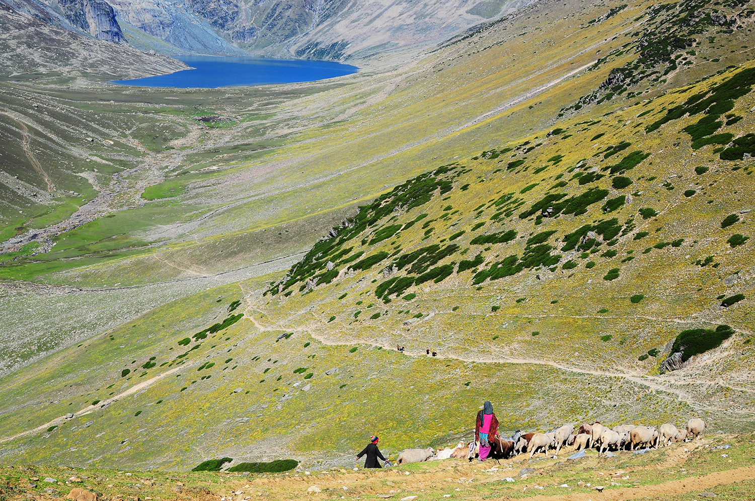 2016 Kashmir Seven Great Lakes Trekking