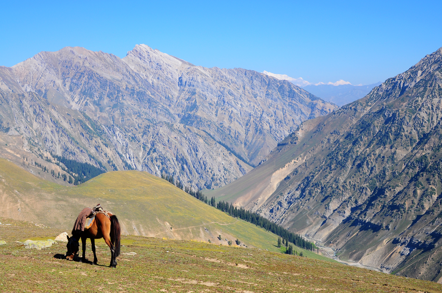 2016 Kashmir Seven Great Lakes Trekking