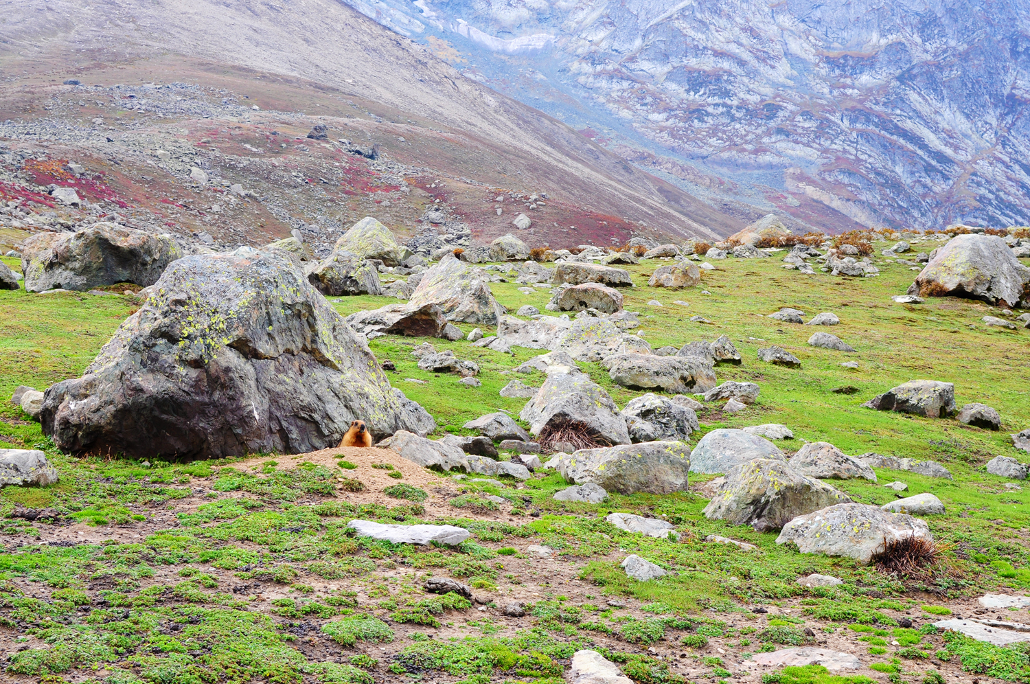 2016 Kashmir Seven Great Lakes Trekking