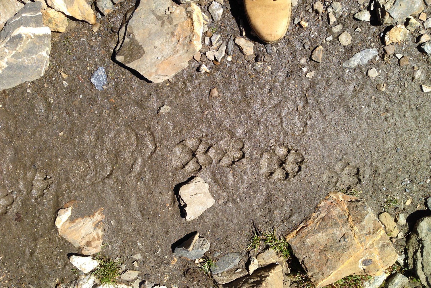 2016 Kashmir Seven Great Lakes Trekking