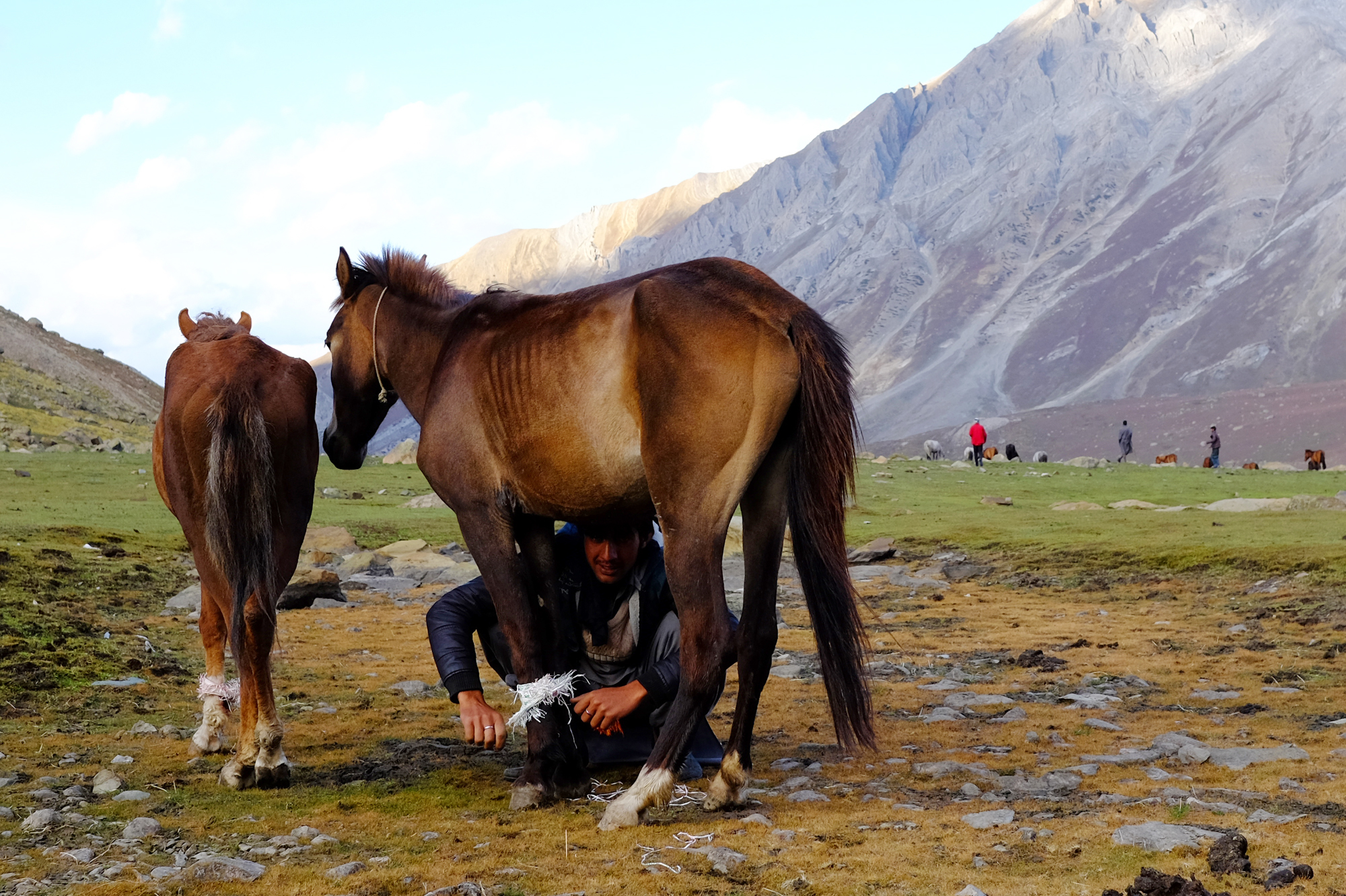 Linnie Traveler / 2017 Kashmir Seven Great Lakes Trekking