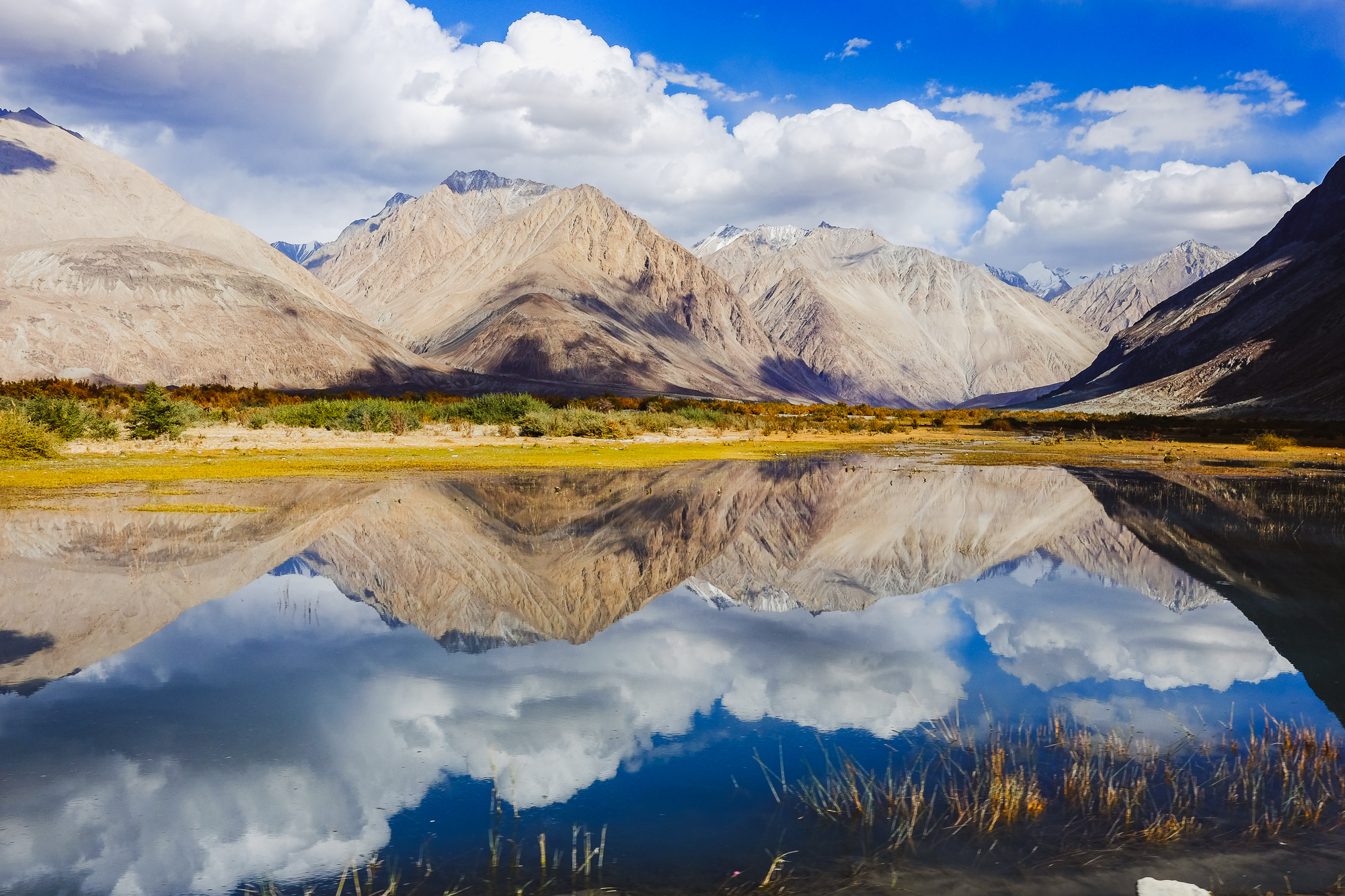 Linnie Traveler / Nubra Valley Turtuk 2017