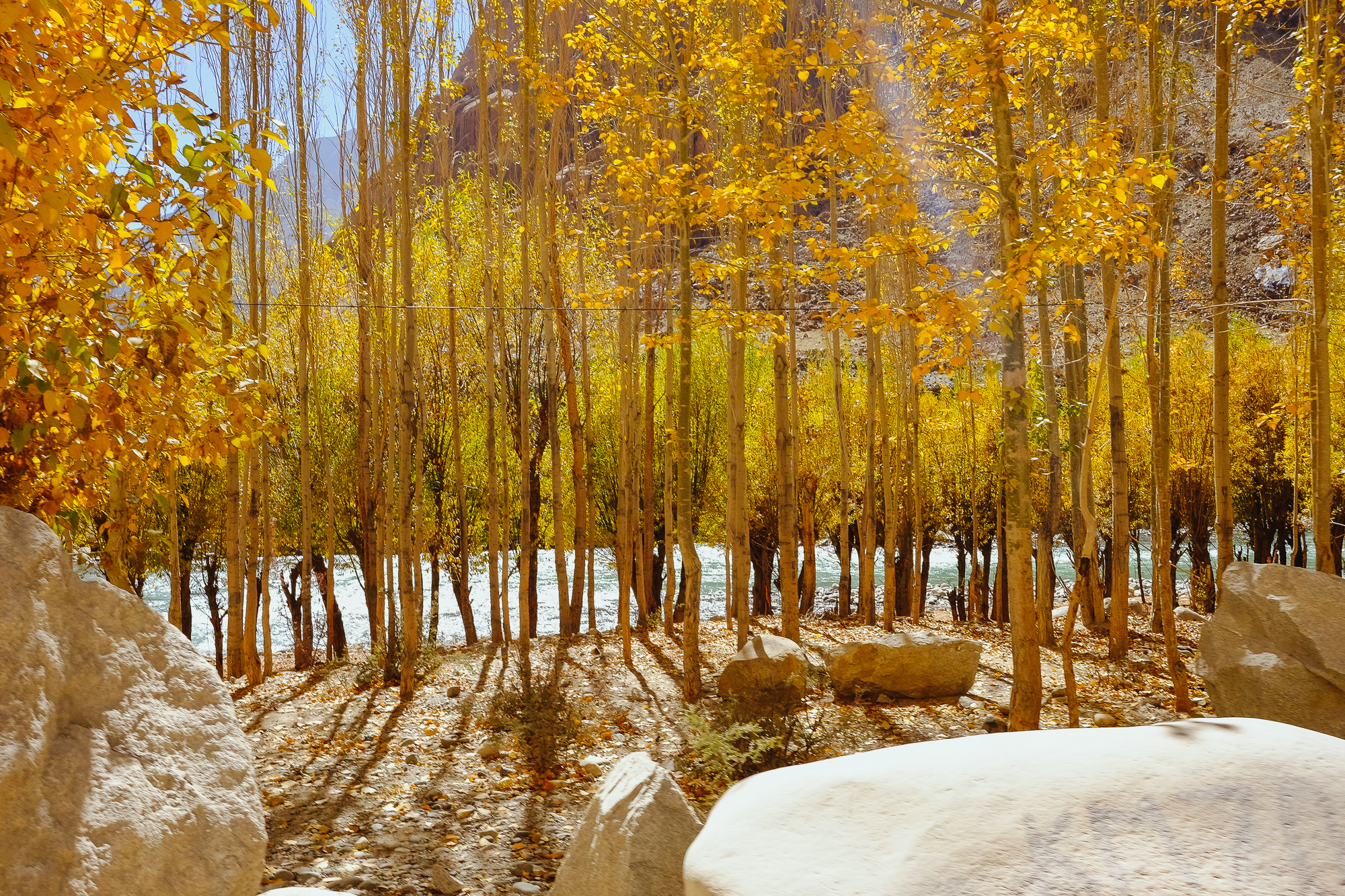 Linnie Traveler / Tso Moriri 2017