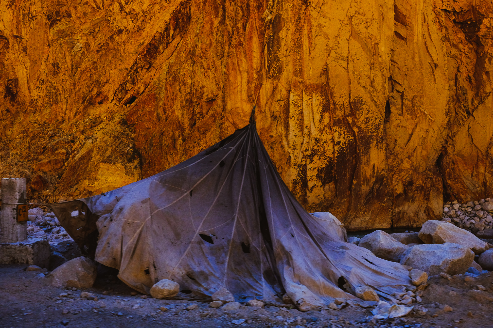 Linnie Traveler / Tso Moriri 2017