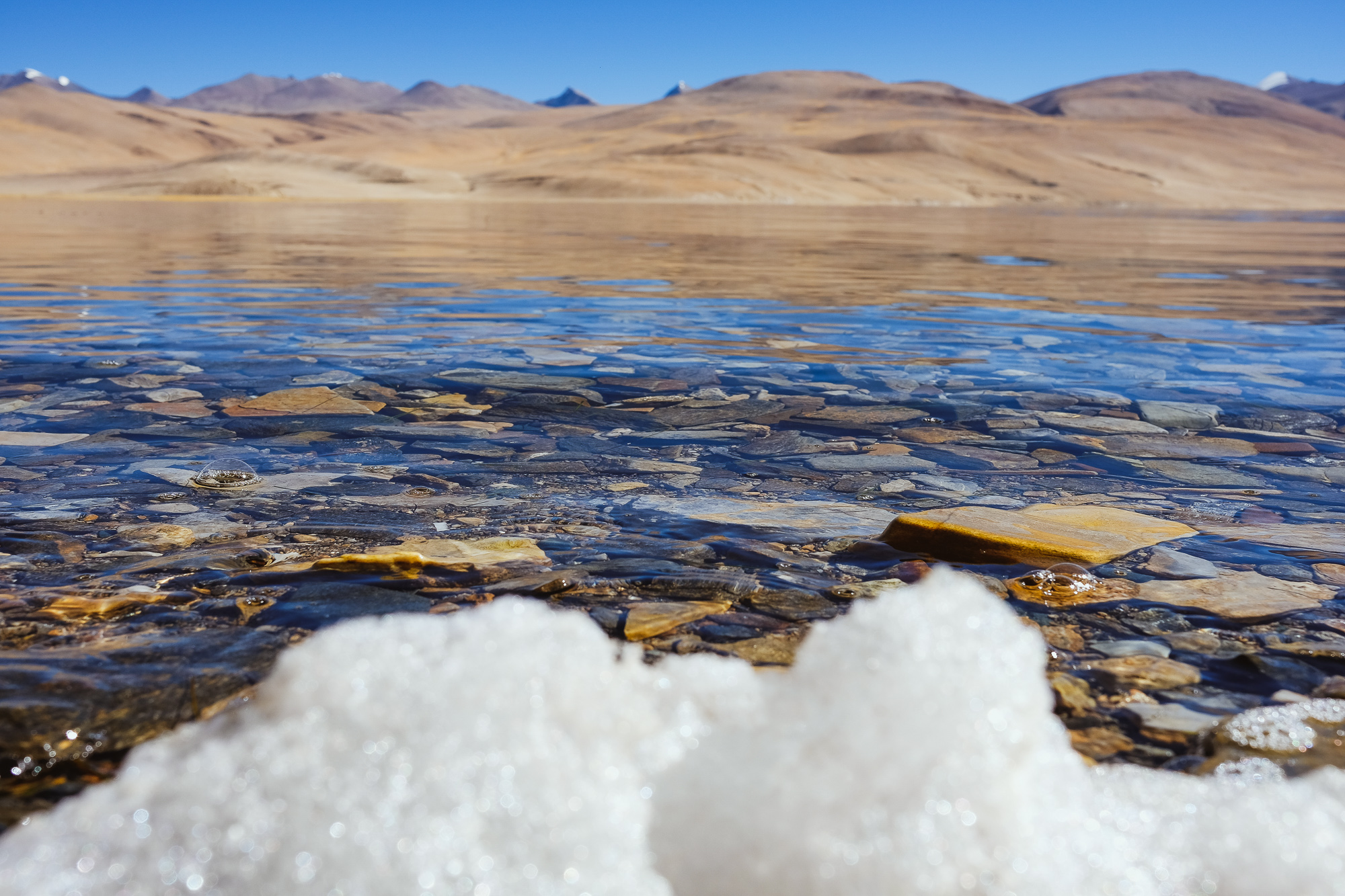 Linnie Traveler / Tso Moriri 2017