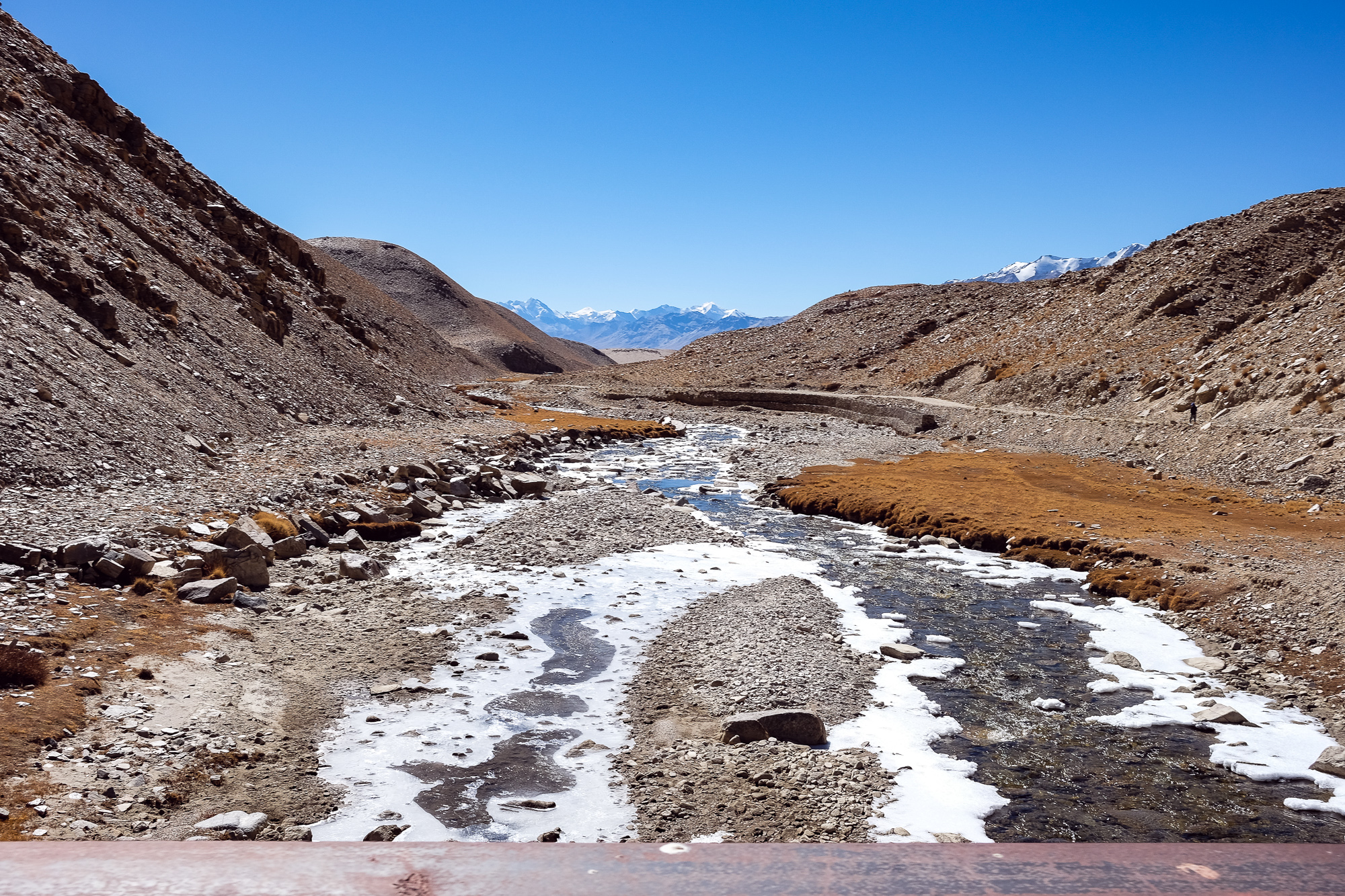 Linnie Traveler / Tso Moriri 2017