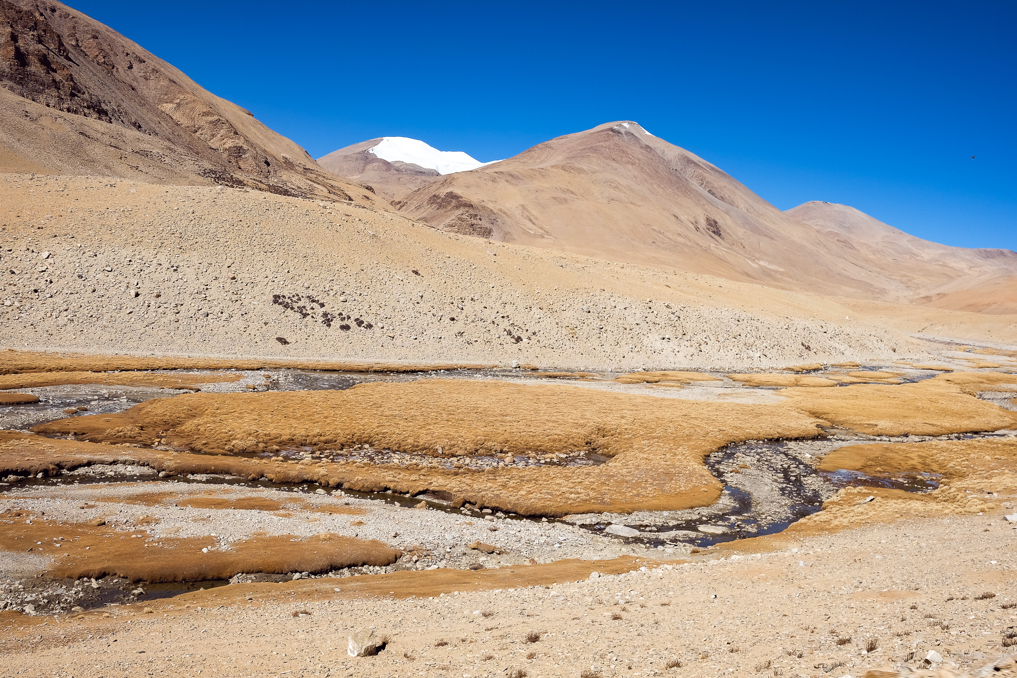 Linnie Traveler / Tso Moriri 2017