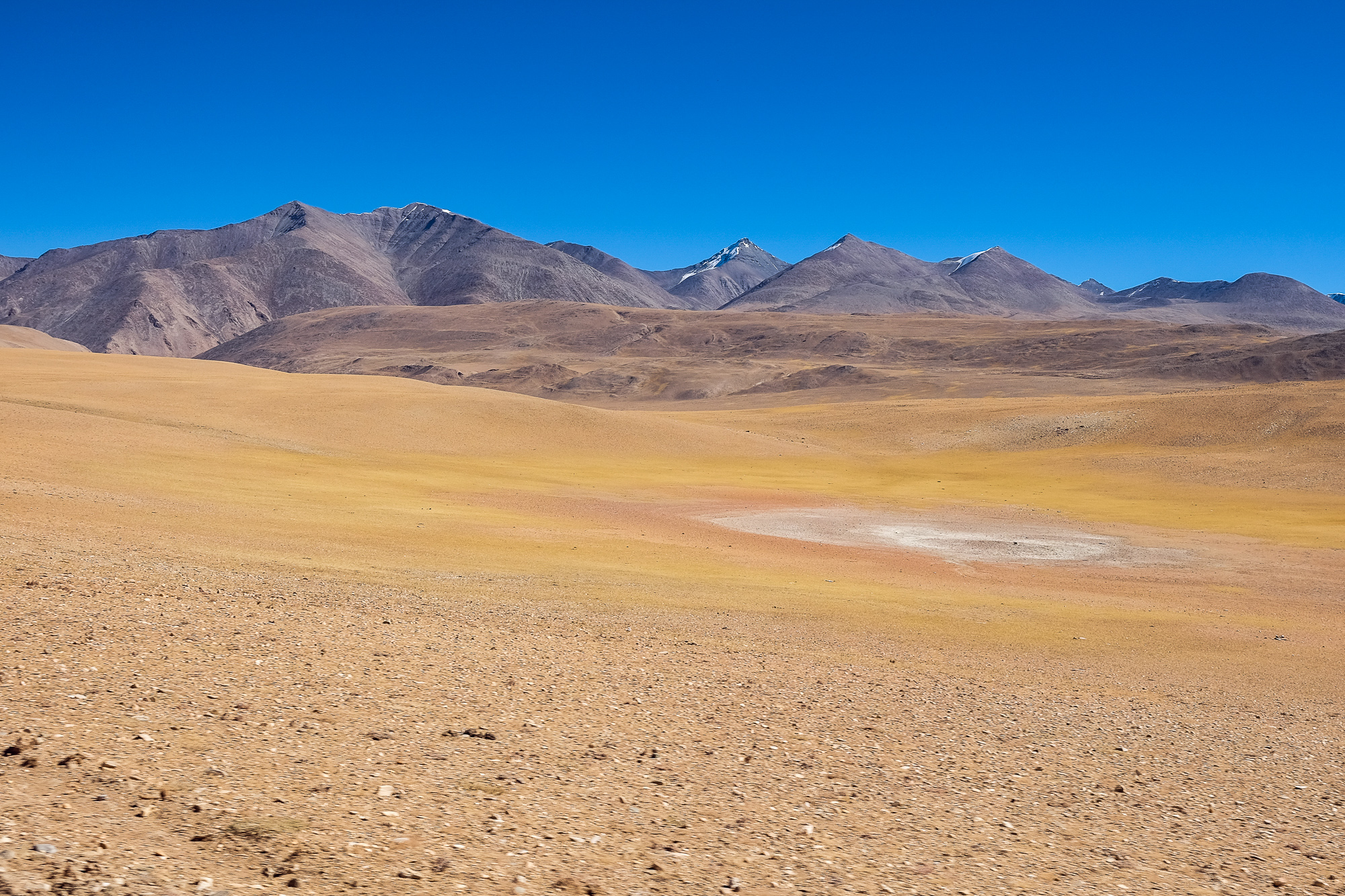 Linnie Traveler / Tso Moriri 2017