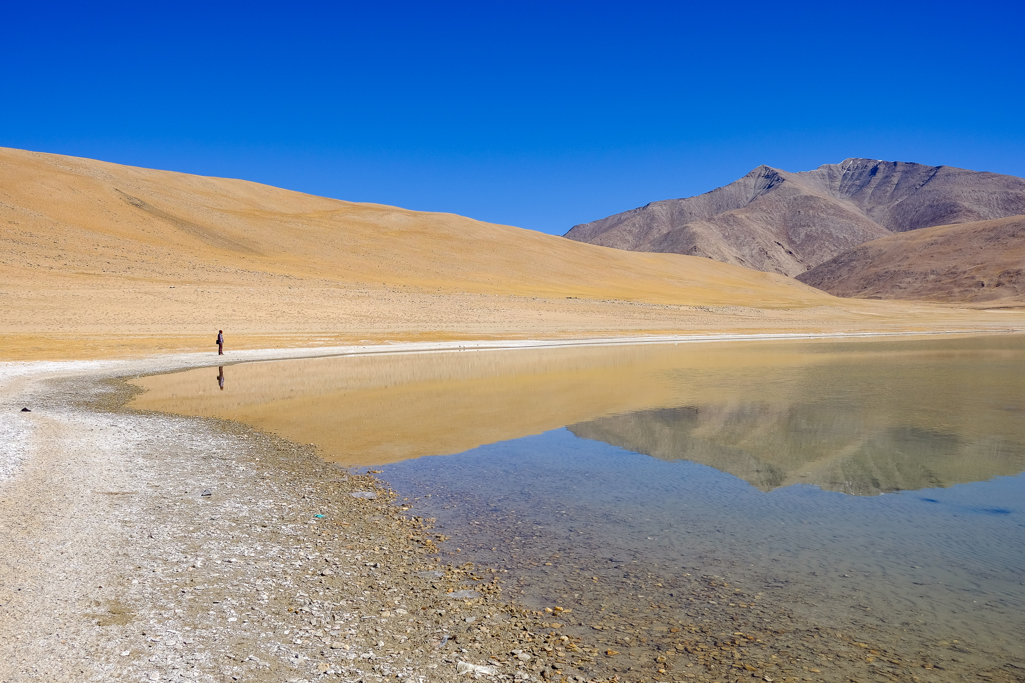 Linnie Traveler / Tso Moriri 2017