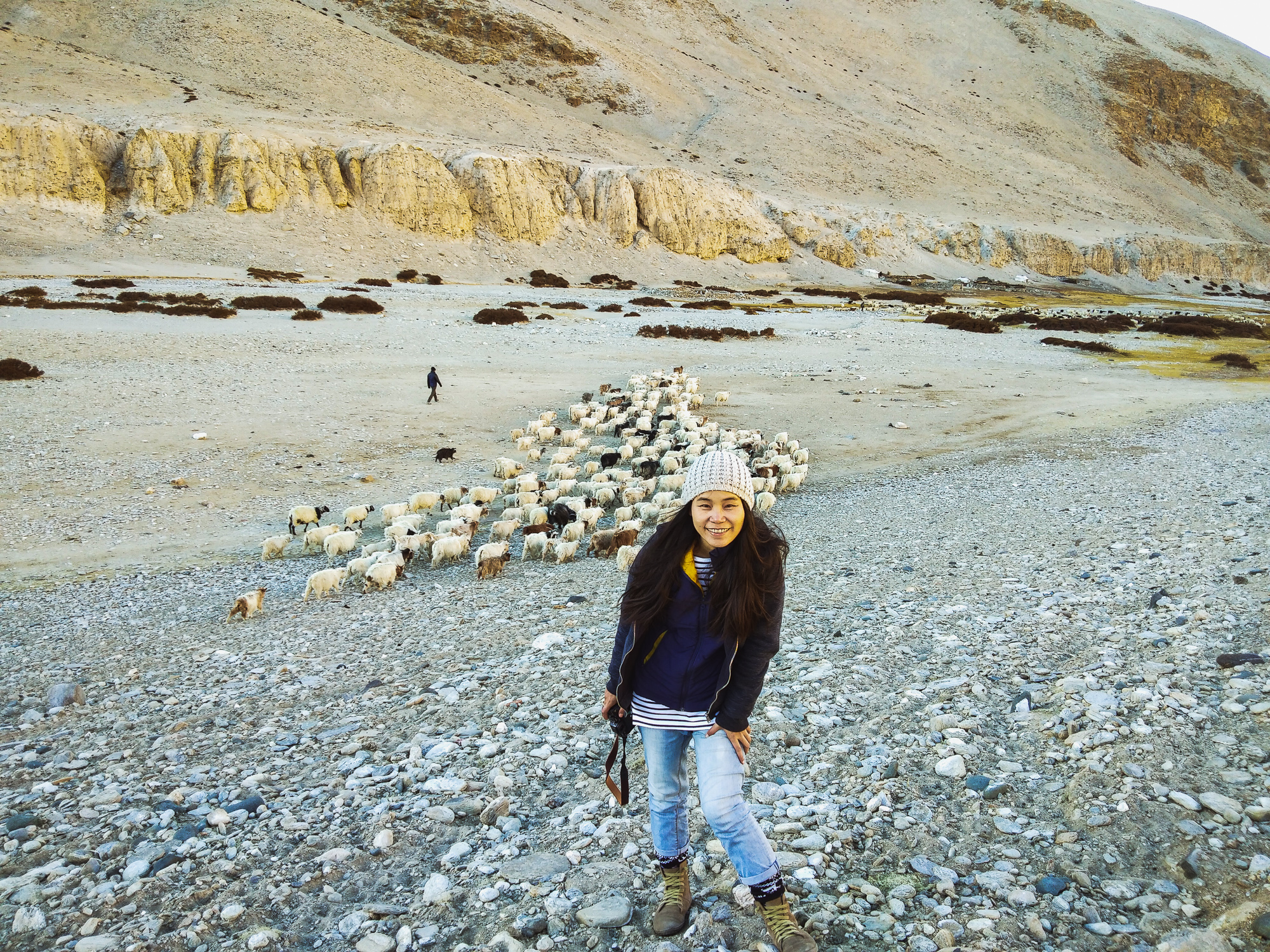 Linnie Traveler / Tso Moriri 2017